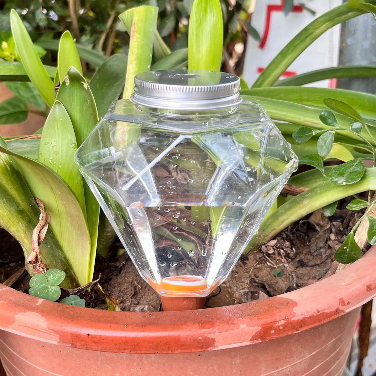 Automatic Plant Waterer - 1 pièce Arroseur automatique en plastique