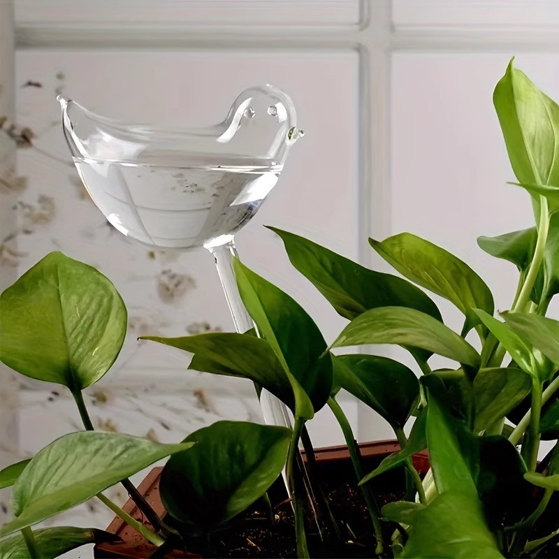 Globes d'arrosage automatique  - Automatic Plant Waterer avis et prix