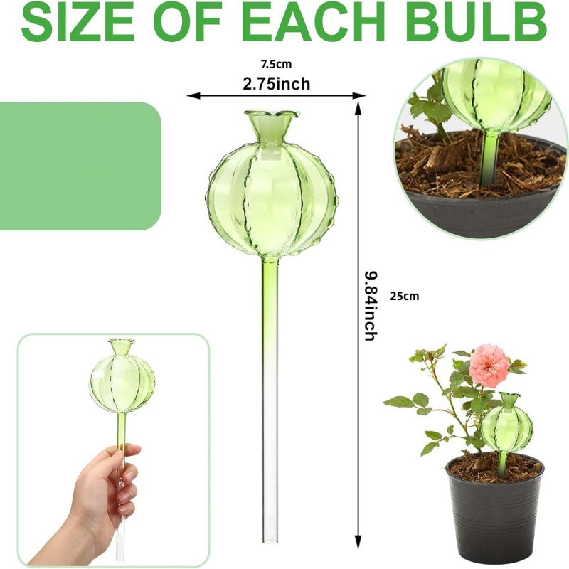 Bulbes d'arrosage automatique  - Automatic Plant Waterer avis et prix